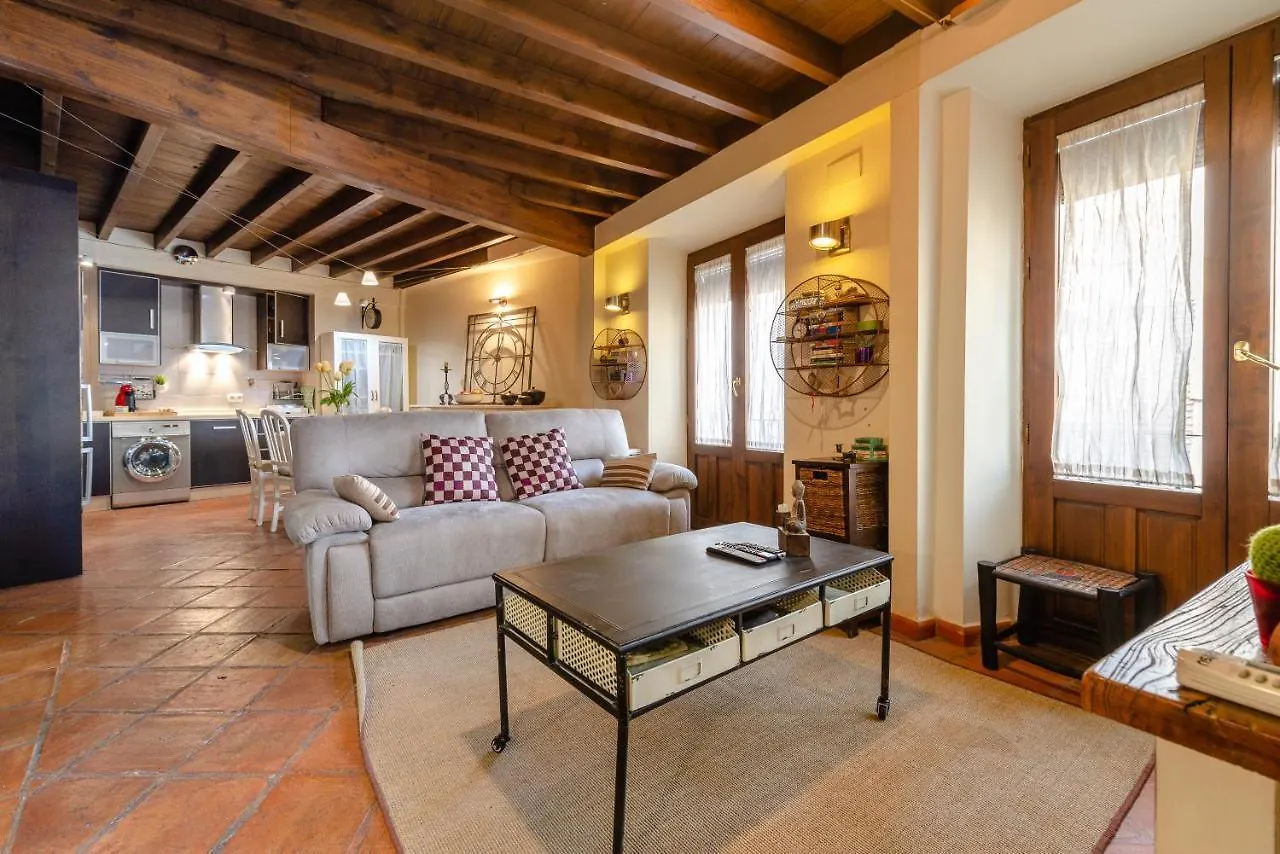 Apartmán Precioso Apartamento En El Centro De Granada Španělsko